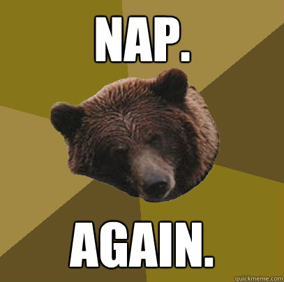 NAP. AGAIN.  Lazy Bachelor Bear