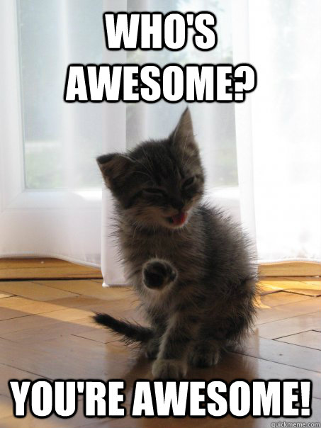 Who's awesome? You're awesome! - Who's awesome? You're awesome!  Confidence kitty