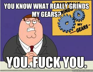 You know what really grinds my gears? You. FUCK YOU.  Grinds my gears