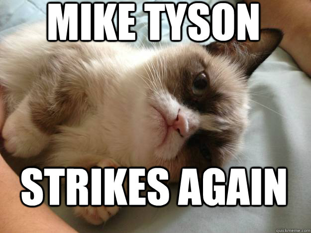 mike tyson strikes again - mike tyson strikes again  Confused Grumpy Cat