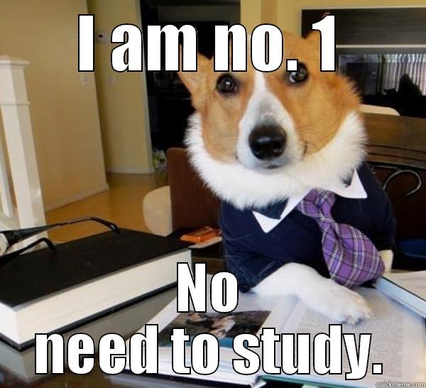 I AM NO. 1 NO NEED TO STUDY. Lawyer Dog