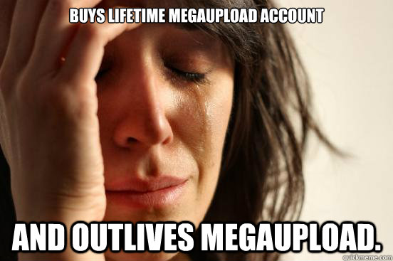 Buys lifetime megaupload account and outlives megaupload.  First World Problems