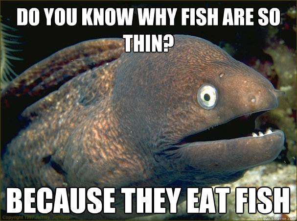 DO YOU KNOW WHY FISH ARE SO THIN?
 BECAUSE THEY EAT FISH  Bad Joke Eel