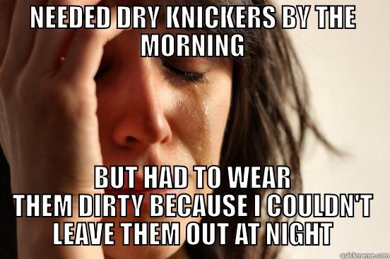 NEEDED DRY KNICKERS BY THE MORNING BUT HAD TO WEAR THEM DIRTY BECAUSE I COULDN'T LEAVE THEM OUT AT NIGHT First World Problems