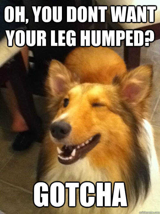 oh, you dont want your leg humped? Gotcha - oh, you dont want your leg humped? Gotcha  implying dog