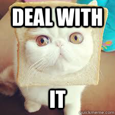 Deal with  It  Snoopy
