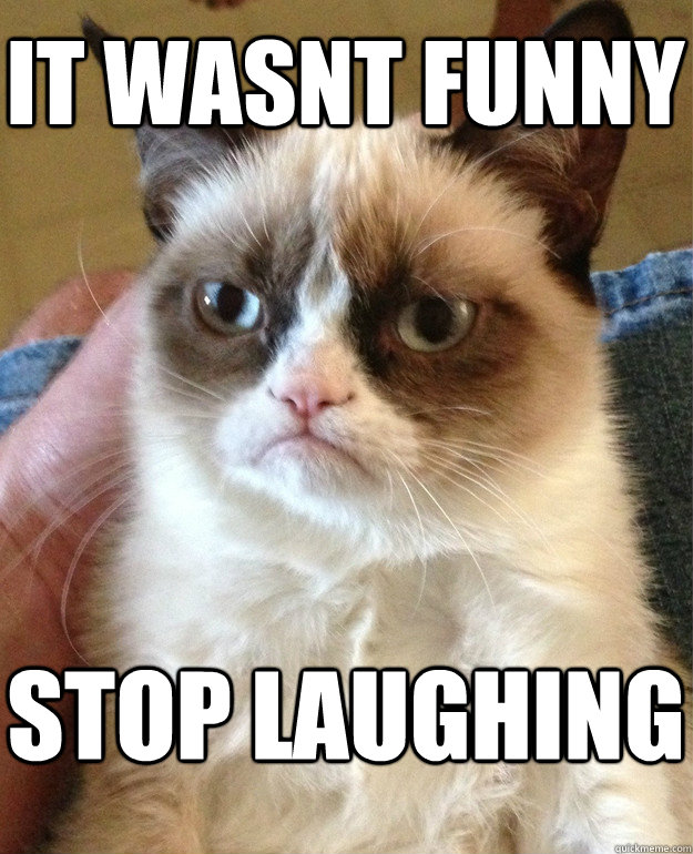 It wasnt funny stop laughing  Grumpy Cat