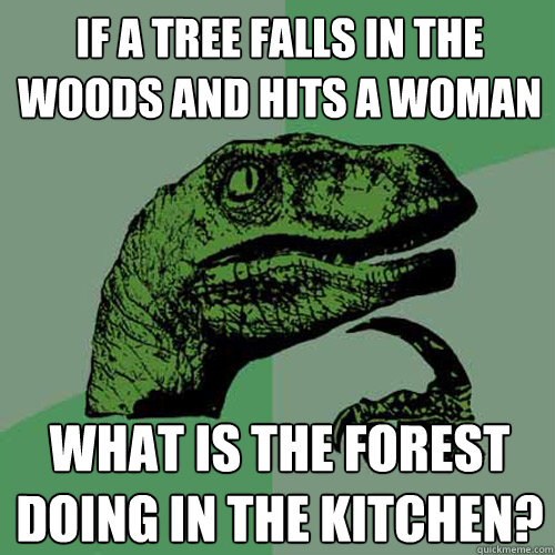If a tree falls in the woods and hits a woman What is the forest doing in the kitchen?  Philosoraptor