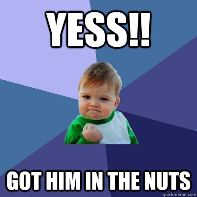 YESS!! got him in the nuts  Success Kid