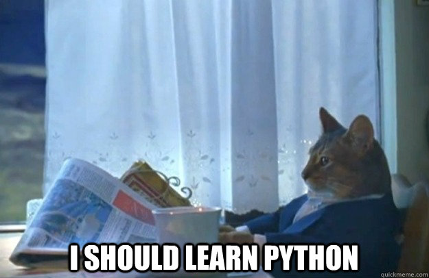  I should learn python  Sophisticated Cat