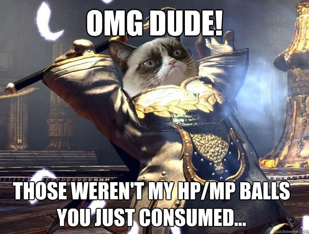omg dude! those weren't my HP/MP balls you just consumed...  TERA Grumpori