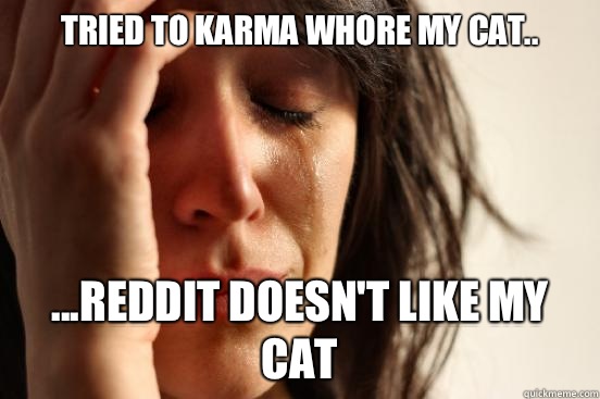 Tried to karma whore my cat.. ...reddit doesn't like my cat  First World Problems