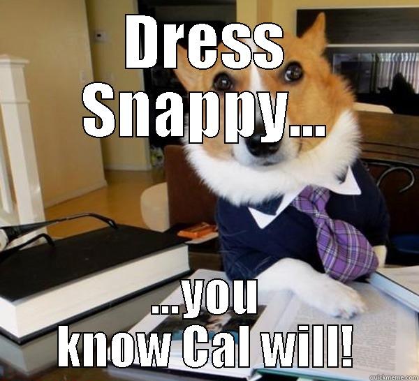 FASHION CAN BE BOUGHT.   STYLE ONE MUST POSSESS Lawyer Dog