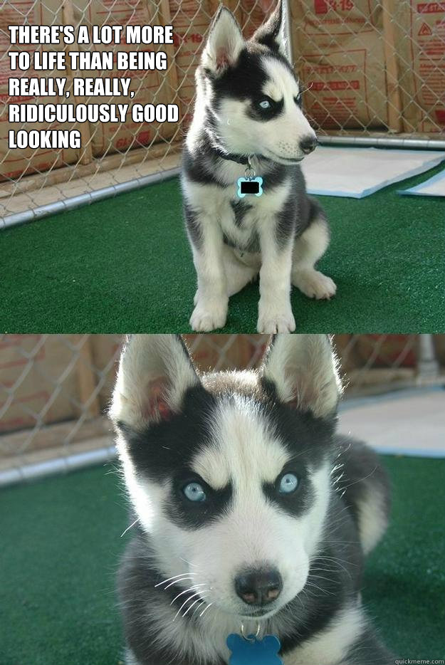 there's a lot more to life than being really, really, ridiculously good looking   Insanity puppy