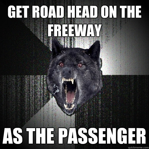 get road head on the freeway as the passenger  Insanity Wolf