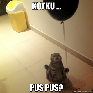 Kotku ... Pus pus?  Sad Birthday Cat