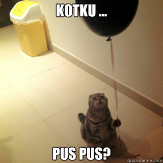 Kotku ... Pus pus? - Kotku ... Pus pus?  Sad Birthday Cat