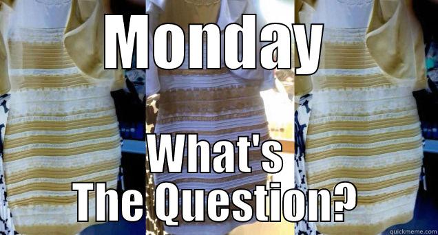Is it gold or blue? - MONDAY WHAT'S THE QUESTION? Misc