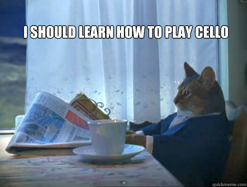  I should learn how to play cello -  I should learn how to play cello  The One Percent Cat