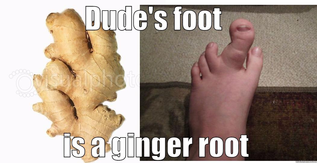 DUDE'S FOOT  IS A GINGER ROOT Misc