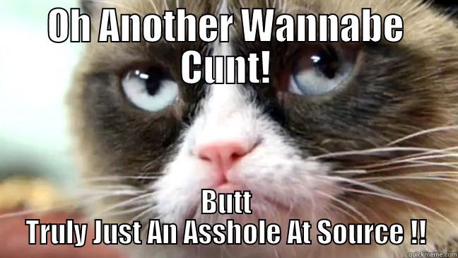 OH ANOTHER WANNABE CUNT! BUTT TRULY JUST AN ASSHOLE AT SOURCE !! Misc