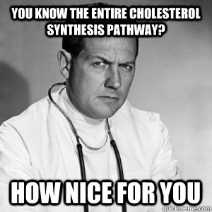 You know the entire cholesterol synthesis pathway? how nice for you - You know the entire cholesterol synthesis pathway? how nice for you  Patronizing physician