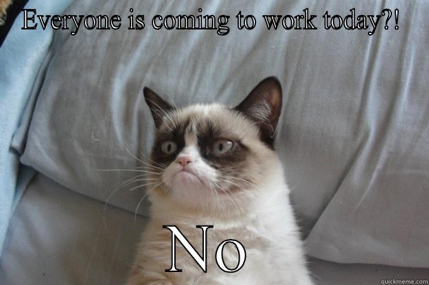 EVERYONE IS COMING TO WORK TODAY?! NO Grumpy Cat