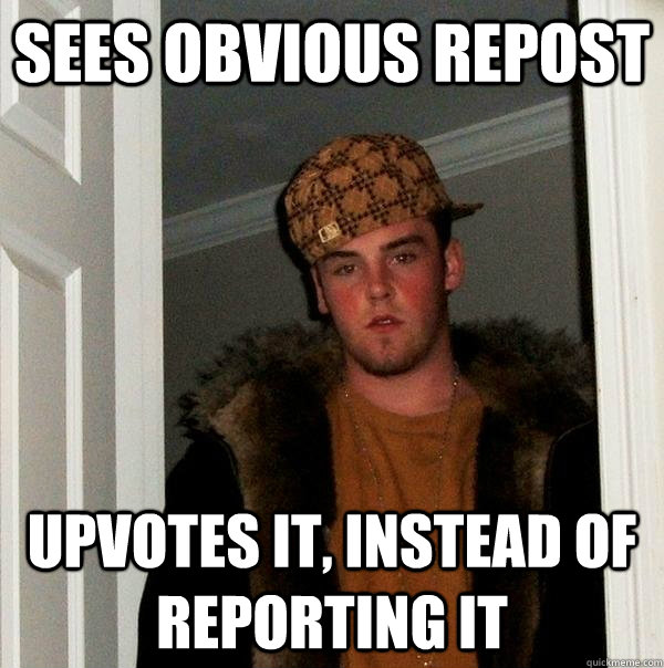 sees obvious repost Upvotes it, instead of reporting it  Scumbag Steve