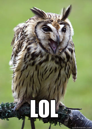 LOL - LOL  Owl meme 5