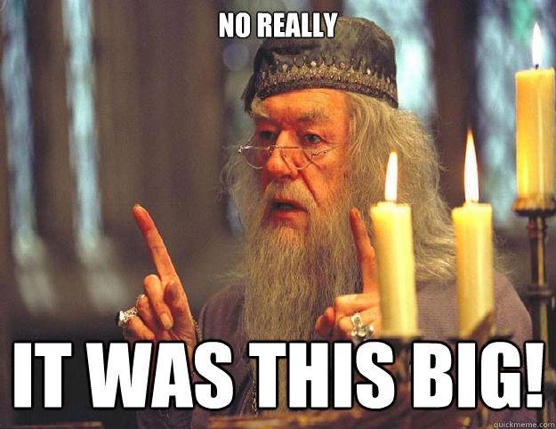 No really It was this big!  Dumbledore