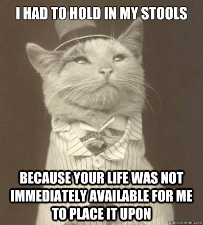 I had to hold in my stools Because your life was not immediately available for me to place it upon  Aristocat