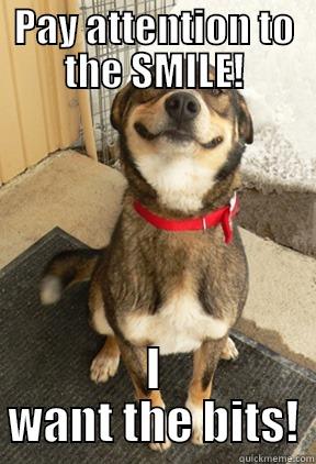 PAY ATTENTION TO THE SMILE! I WANT THE BITS! Good Dog Greg