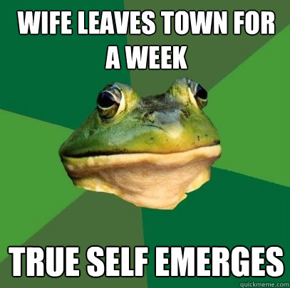 wife leaves town for a week true self emerges  Foul Bachelor Frog