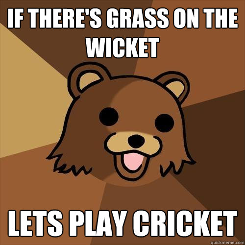If there's grass on the wicket lets play cricket - If there's grass on the wicket lets play cricket  Pedobear