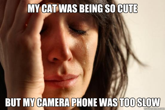 My cat was being so cute but my camera phone was too slow  First World Problems