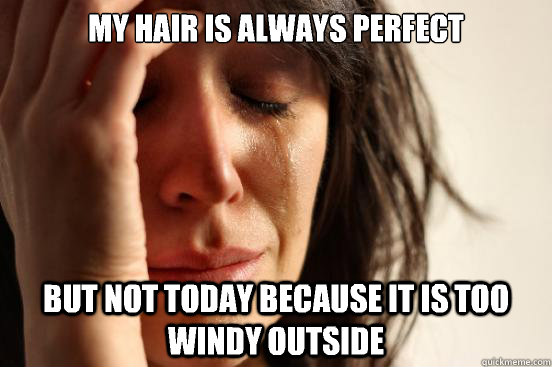 My hair is always perfect  But not today because it is too windy outside   First World Problems
