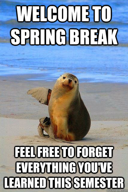 welcome to spring break feel free to forget everything you've learned this semester - welcome to spring break feel free to forget everything you've learned this semester  Welcoming Seal