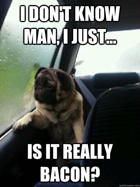 I don't know man, I just... Is it really bacon? - I don't know man, I just... Is it really bacon?  Introspective Pug
