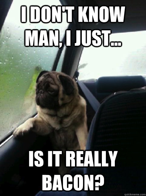 I don't know man, I just... Is it really bacon?  Introspective Pug