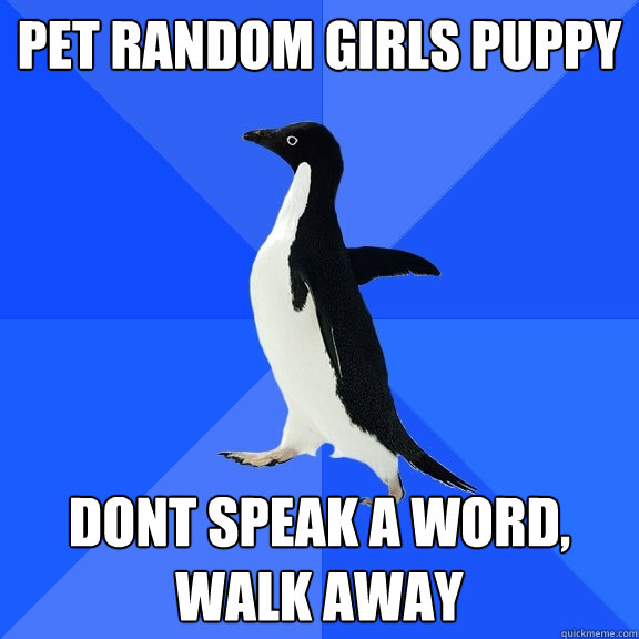 pet random girls puppy dont speak a word, walk away  Socially Awkward Penguin