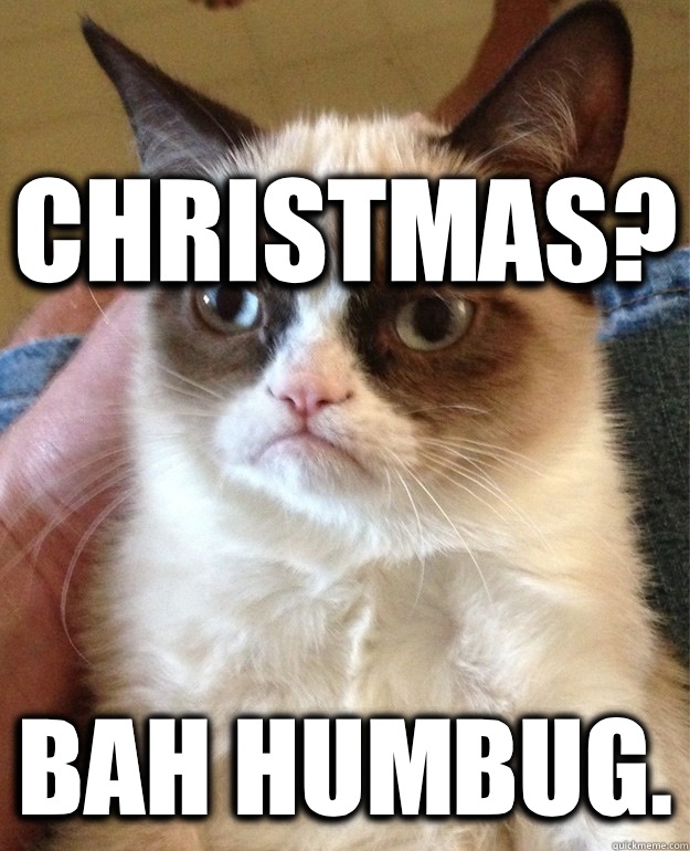 Christmas? Bah humbug.  Grumpy Cat