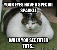 Your eyes have a special sparkle when you see tater tots...  
