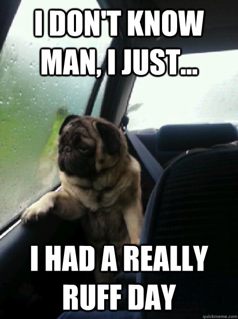 I don't know man, I just... I had a really ruff day - I don't know man, I just... I had a really ruff day  Introspective Pug