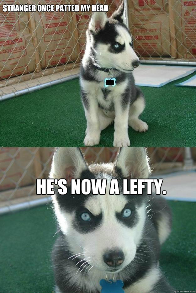 Stranger once patted my head He's now a lefty.  Insanity puppy
