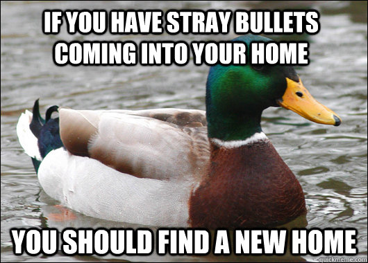 If you have stray bullets coming into your home You should find a new home  Actual Advice Mallard