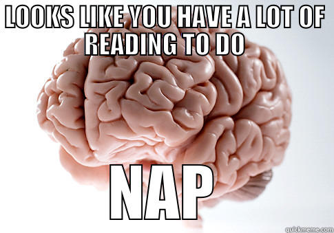 LOOKS LIKE YOU HAVE A LOT OF READING TO DO NAP Scumbag Brain