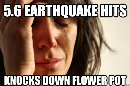 5.6 Earthquake hits Knocks down flower pot  First World Problems
