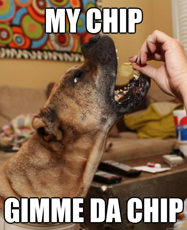 My chip gimme da chip  Shar Pei Chip