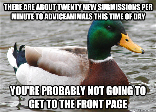 There are about twenty new submissions per minute to adviceanimals this time of day you're probably not going to get to the front page  Actual Advice Mallard