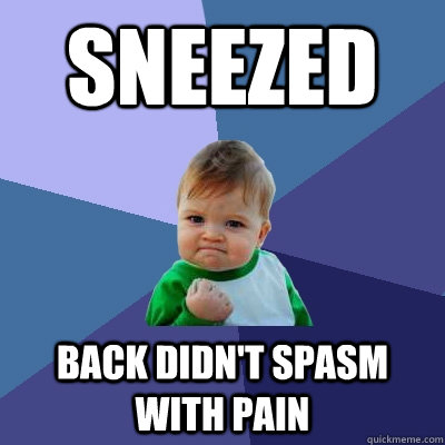 Sneezed Back didn't spasm with pain - Sneezed Back didn't spasm with pain  Success Kid